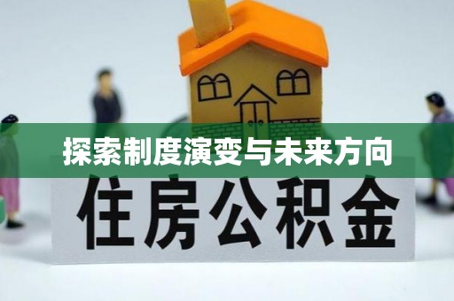 任丘探索制度演变与未来方向