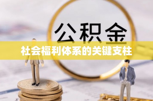 任丘社会福利体系的关键支柱