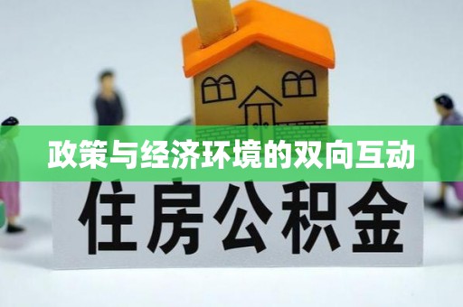 任丘政策与经济环境的双向互动