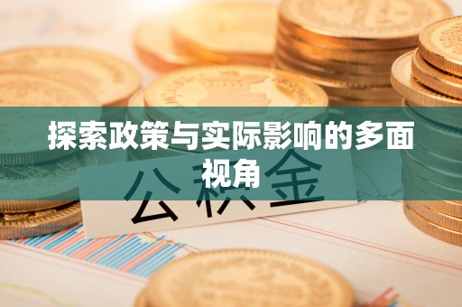 任丘探索政策与实际影响的多面视角