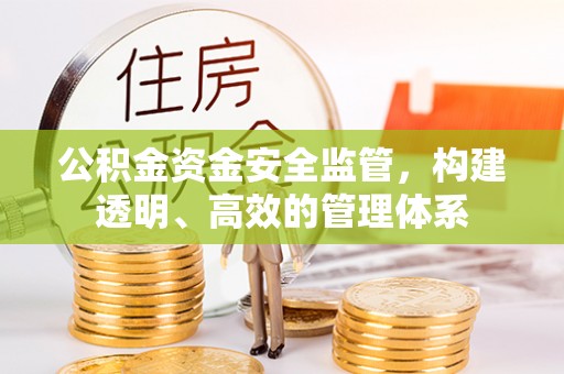任丘公积金资金安全监管，构建透明、高效的管理体系